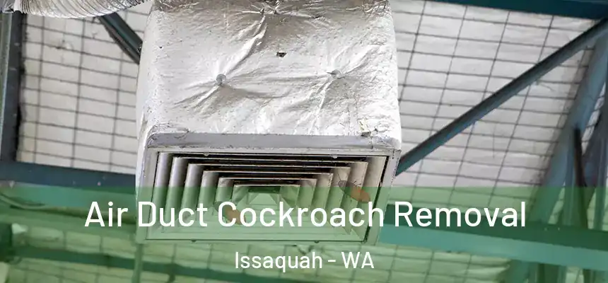 Air Duct Cockroach Removal Issaquah - WA