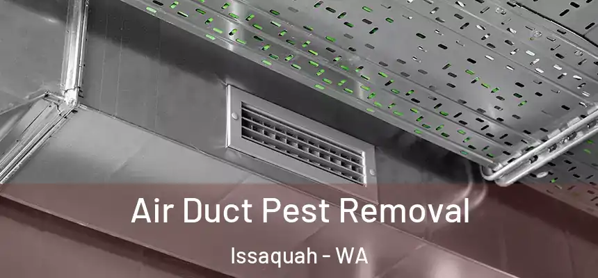 Air Duct Pest Removal Issaquah - WA