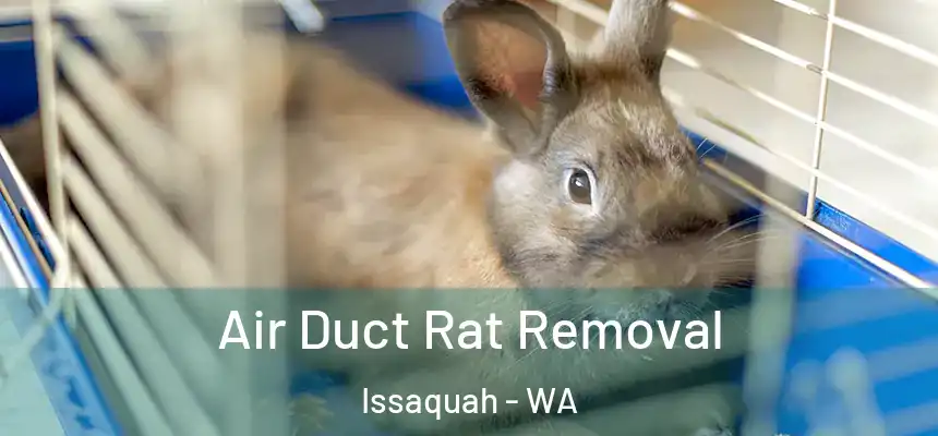 Air Duct Rat Removal Issaquah - WA
