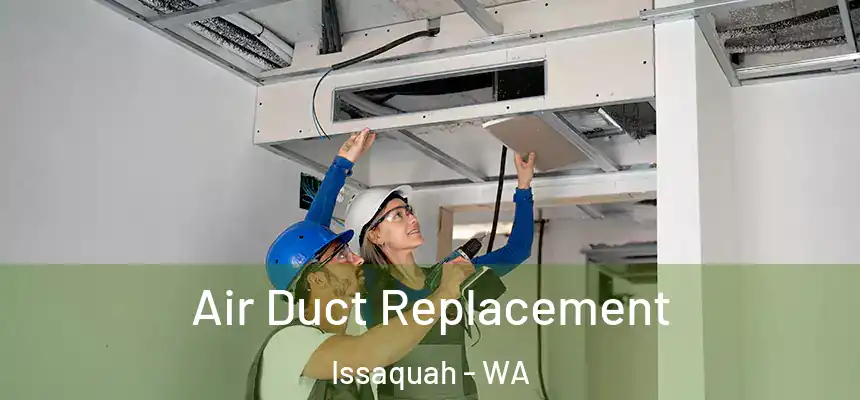 Air Duct Replacement Issaquah - WA