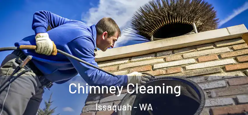 Chimney Cleaning Issaquah - WA