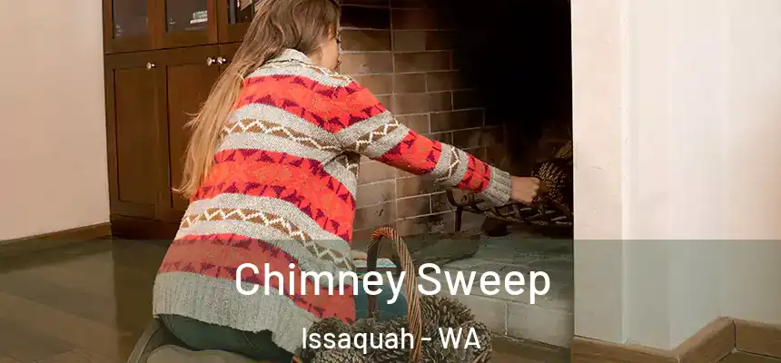 Chimney Sweep Issaquah - WA