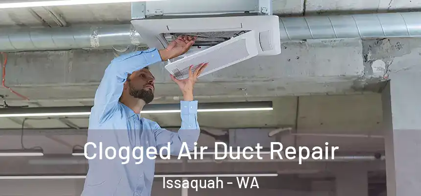 Clogged Air Duct Repair Issaquah - WA