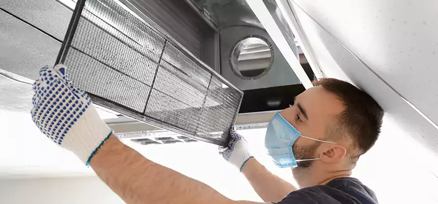 Diagnostic HVAC Coil & Blower Cleaning in Issaquah