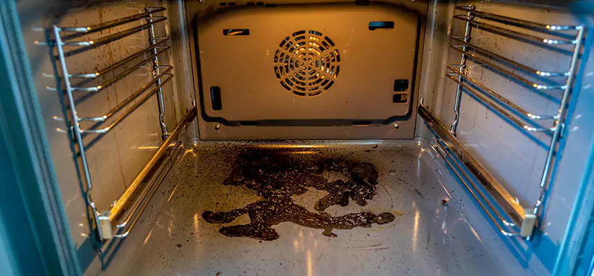 Our Dryer Vent Mold Cleaning Services in Issaquah, WA