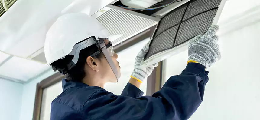 Our Mold & Mildew Removal from Air Ducts Services in Issaquah, WA