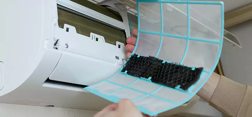 Gentle Ductwork Odor-Control Pet Dander Duct Cleaning in Issaquah, WA