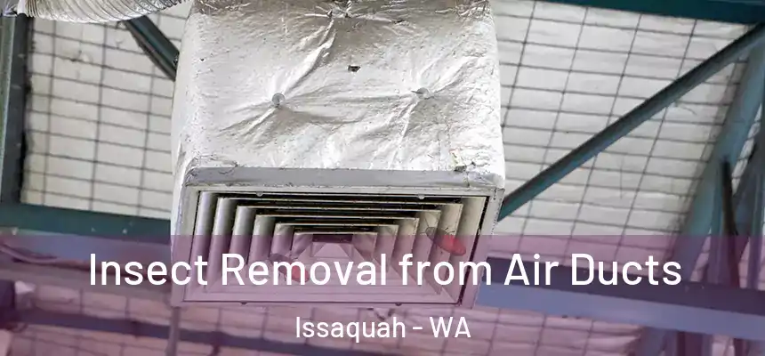 Insect Removal from Air Ducts Issaquah - WA