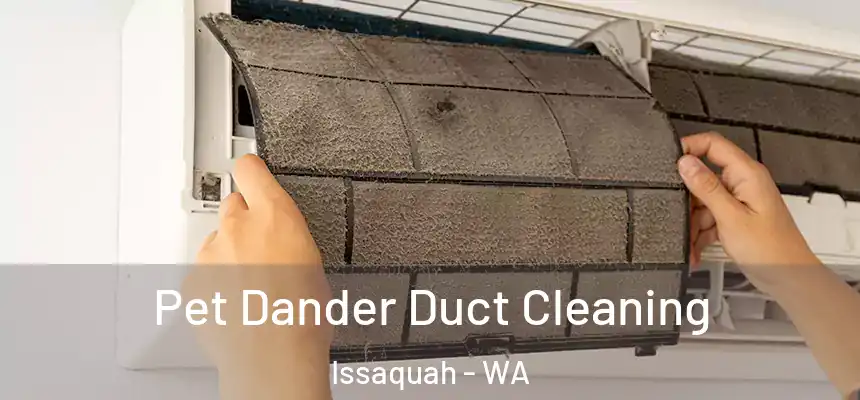 Pet Dander Duct Cleaning Issaquah - WA