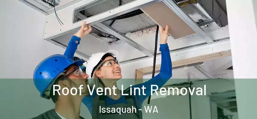 Roof Vent Lint Removal Issaquah - WA