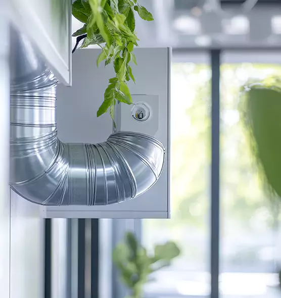 Professional Eco-Friendly Duct Cleaning Services in Issaquah, WA