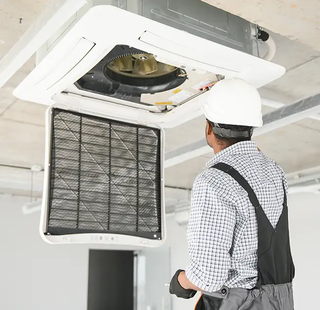 Why Homeowners & Businesses Trust Us in Issaquah, WA?