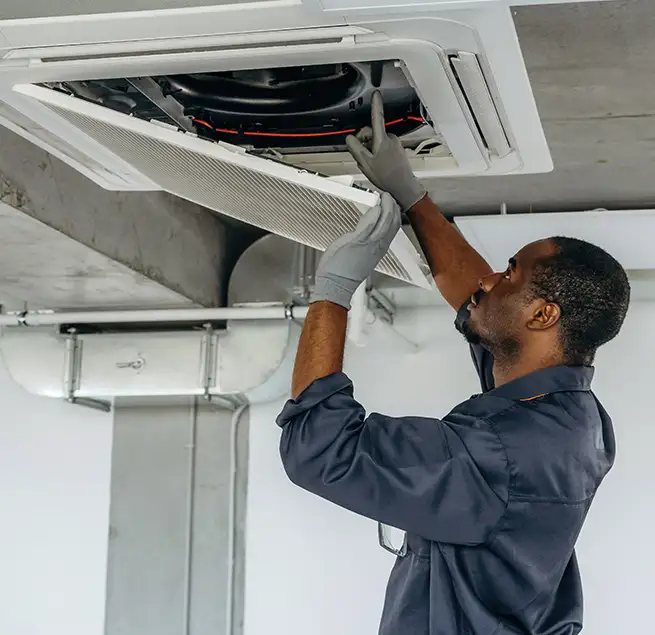 Why Homeowners & Businesses Trust Us in Issaquah, WA?