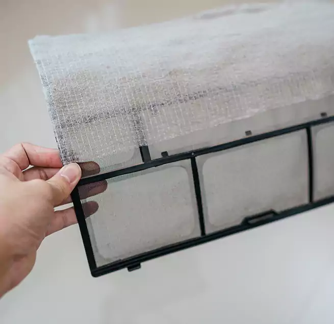 Why Homeowners & Businesses Trust Us in Issaquah, WA?