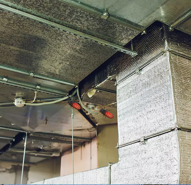 Why Homeowners & Businesses Trust Us Issaquah, WA?