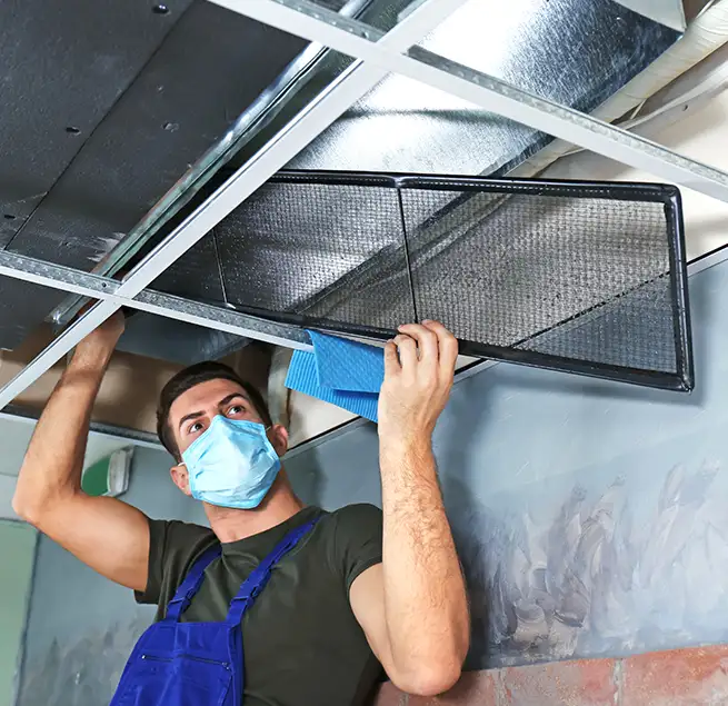 Why Homeowners & Businesses Trust Us in Issaquah, WA?